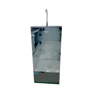 Kangaroo Hydrogen Infinity KGHP10V4 Water Purifier