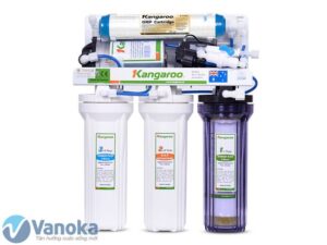 Read more about the article Why Kangaroo Water Plants Are the Best Choice for Your Home